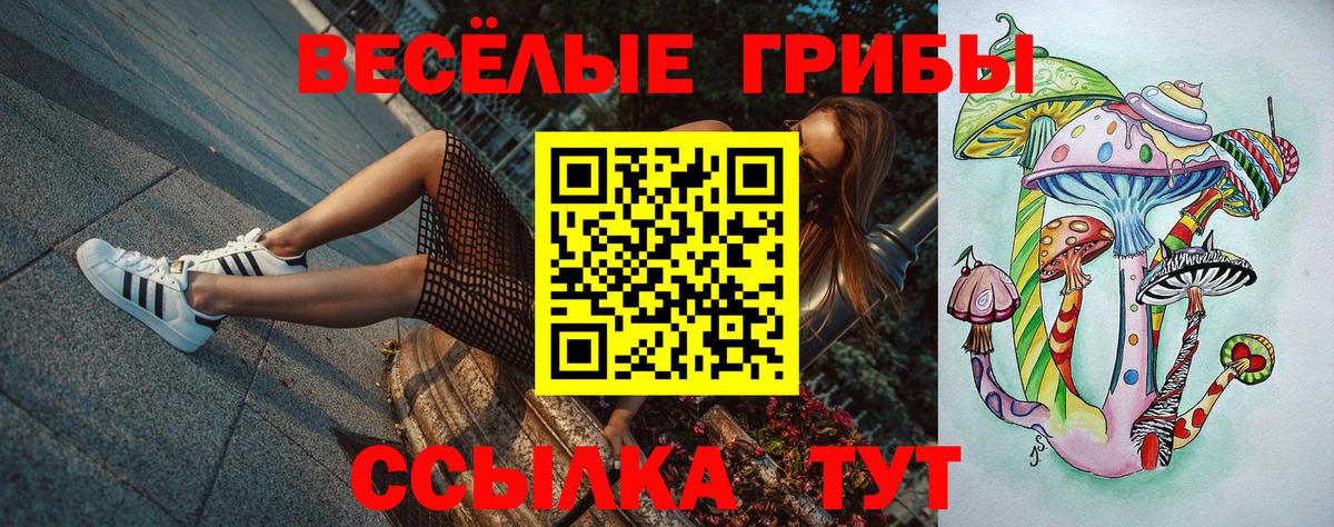 Галлюциногенные грибы Magic Shrooms  Вход с VPN  Знаменск 